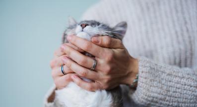 Котка и собственик