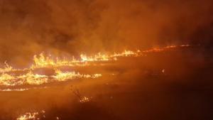 Огромни са щетите след пожара в Хисарско съобщиха от пожарната