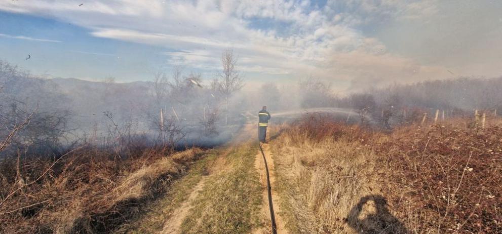 Овладян е пожарът във вилна зона Курткая в Ямбол. Това съобщи комисар