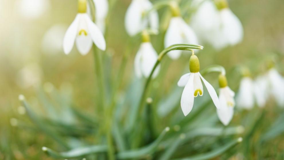 През нощта ще преобладава ясно време, но от изток облачността