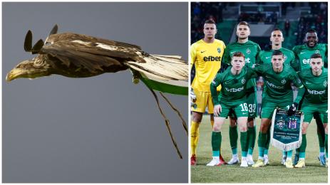 Лудогорец орли орел Виктория