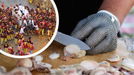 тестиси на бик