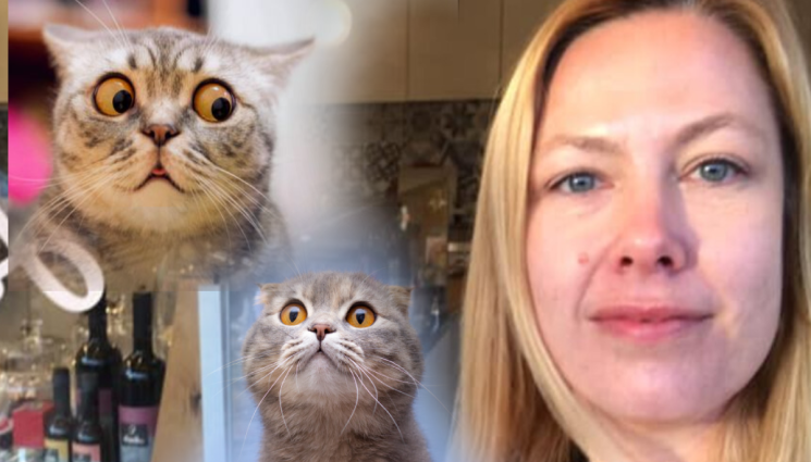 Линда - НОВО ЗАНЯТИЕ: Линда скопява животни