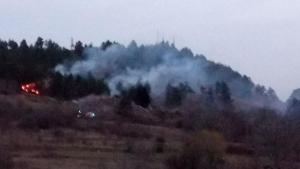 Пожар избухна в местност Дългия камък край Варна заради запалени