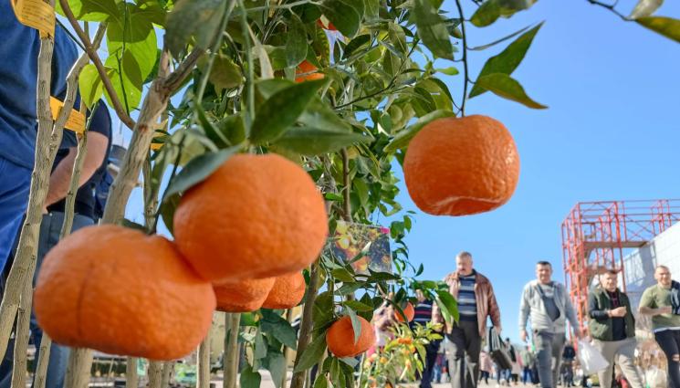 изложение - Агро Телеграф: Садово създаде пшеница за вкусен хляб