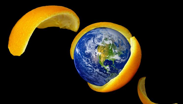 цитруси - Агро Телеграф: Озонът забавя растежа на цитрусите