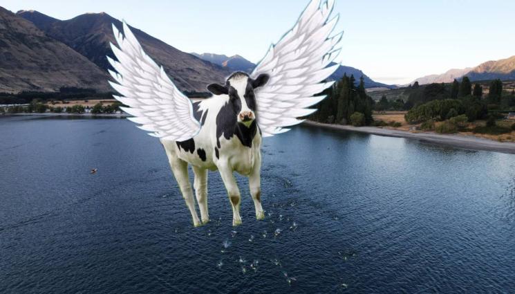 крава - ЧУДЕСИЯ: Крава полетя над езеро (ВИДЕО)
