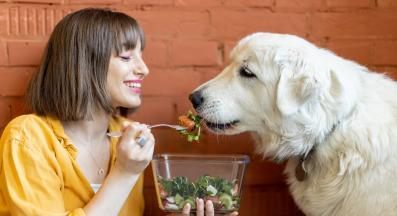 куче салата