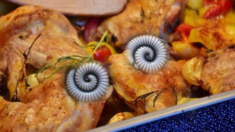 пиле червеи