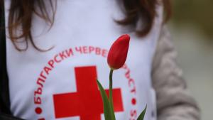 Младежите от Столичната организация на Българския Червен кръст БЧК дариха