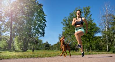 куче тичане