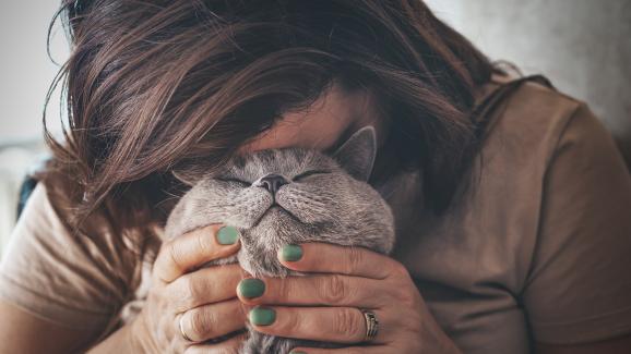 Приличат ли котките на своите стопани