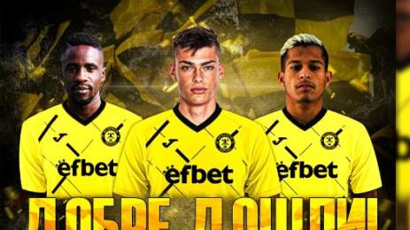 Миньор Перник