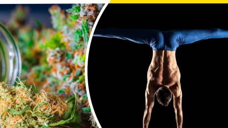 гимнастик трева