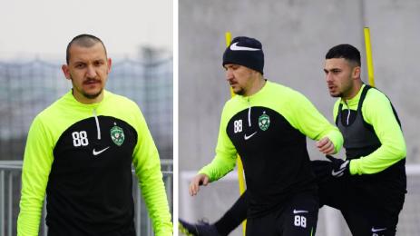 Тодор Неделев