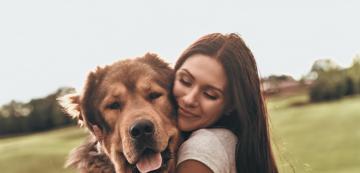 6 лесни начина да обогатите живота на кучето си