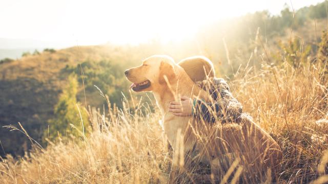 Вярно куче спаси 12-годишния си стопанин от руините в Турция (ВИДЕО)