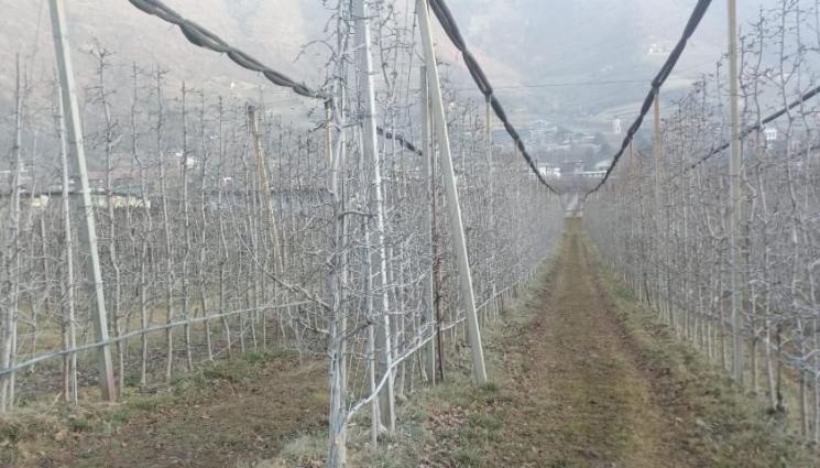 термокожух - Агро Телеграф: Овощарска вар облича с термокожух пъпките