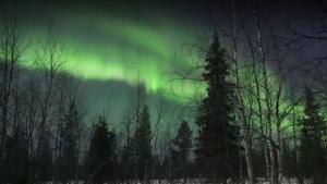 Ярко северно сияние озари Лапландия оцветявайки небето в зелено розово