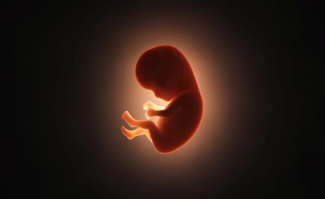 Замразен ембрион е заченат година след раждането на майка му