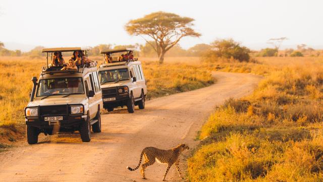 Блумбърг: Богати руснаци резервират сафарита в Зимбабве 