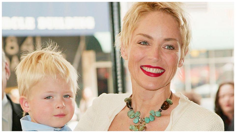 Освен успешна актриса с емблематични роли зад гърба си, Шарън