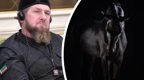 Кадиров кон