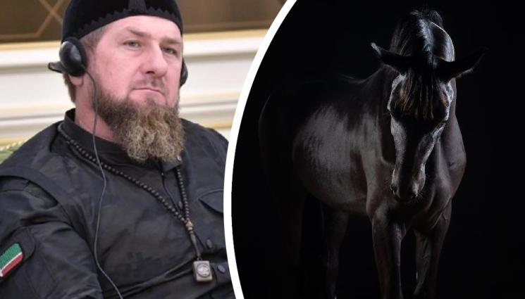 Кадиров кон - СМЕЛЧАГИ: Посегнаха на Рамзан Кадиров, откраднали му Зазу, струващ над 10 млн. долара