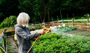 Възстановяват надплатени суми за вода за напояване 