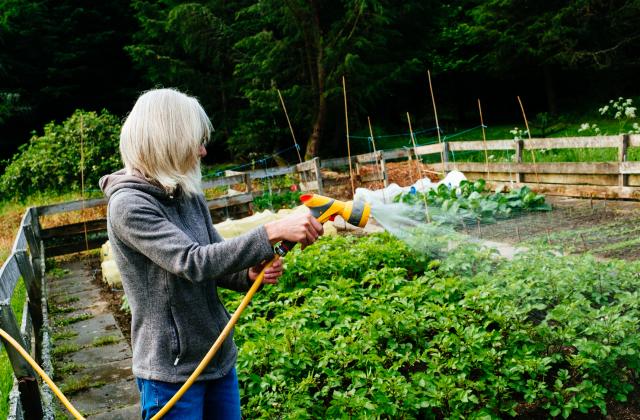 От днес до 2 октомври 2023 г. земеделските стопани могат