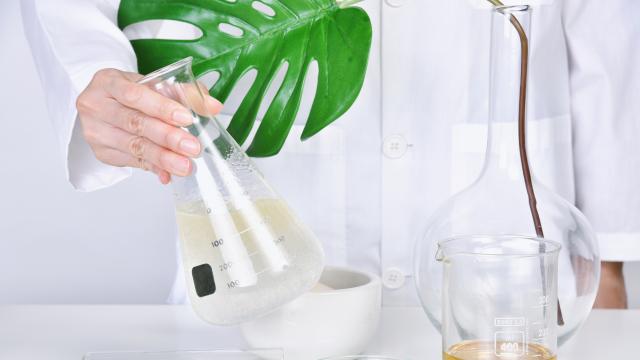 Изкуствените аромати: Откъде идват и защо са предпочитани пред истинските