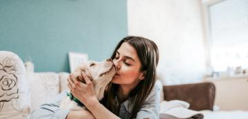 6 тайни на добрата комуникация с кучето ви