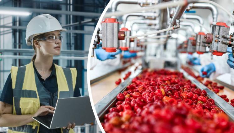 производство - Изработваме по 4 бона месечно