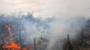 На територията на област Хасково има три действащи пожара които