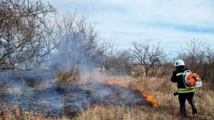 Голям пожар гори в защитената местност Калимок Бръшлен край Русе На