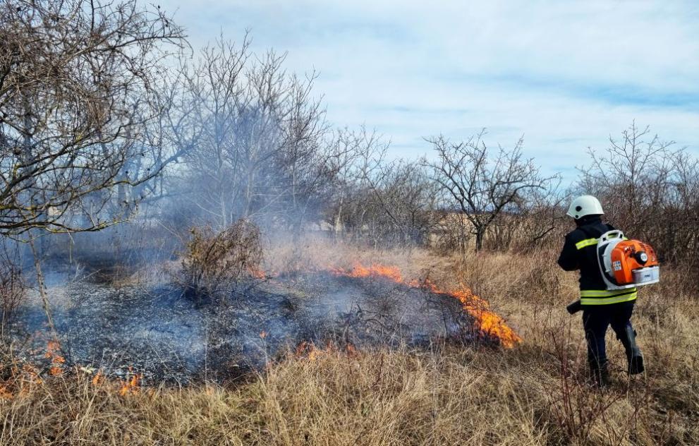 Голям пожар гори в защитената местност Калимок-Бръшлен край Русе. На