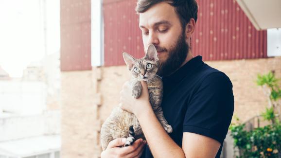 Защо котките харесват брадите на стопаните си