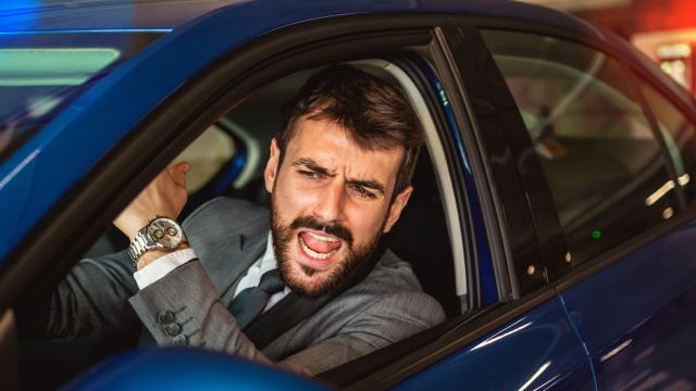 Съдия в Квебек: Да покажеш среден пръст е основно човешко право