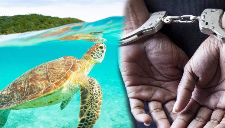 арест костенурки - ЗООПАРК: Закопчахме украинка за контрабанда на костенурки в Танзания