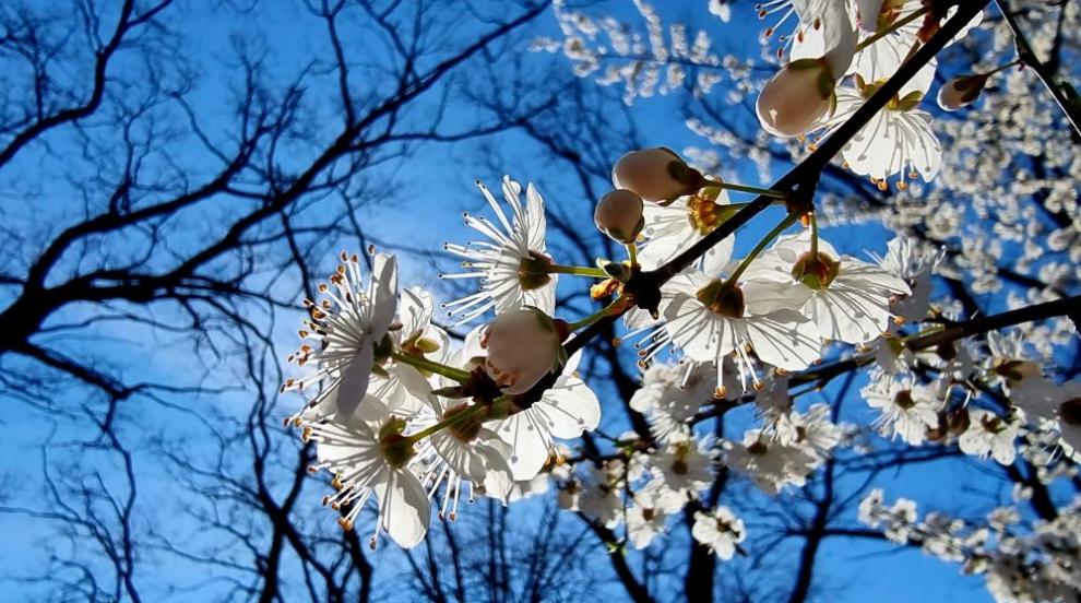 Слънце и температури до 18° в четвъртък