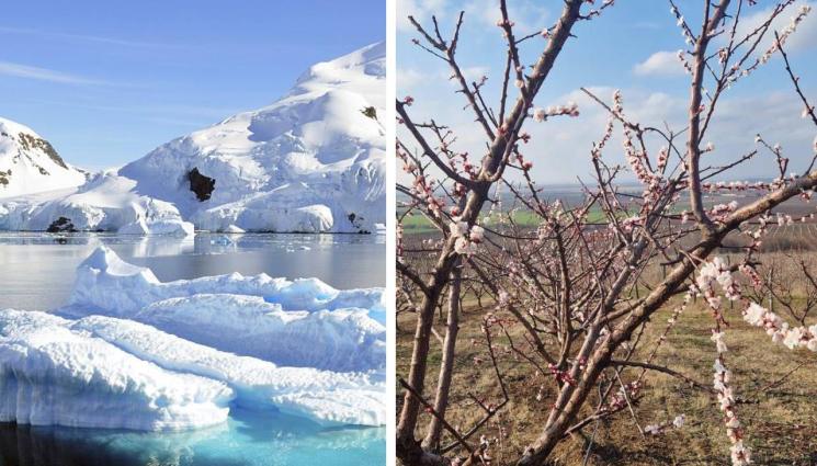 а - Агро Телеграф: Преживяхме най-горещата зима от 135 г.