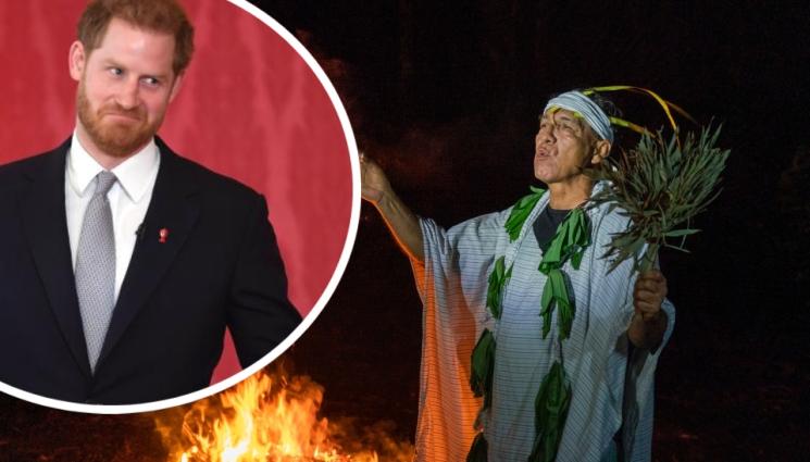 шаман хари - АЛТЕРНАТИВНА МЕДИЦИНА: Шаман „лекувал“ принц Хари с тежка дрога