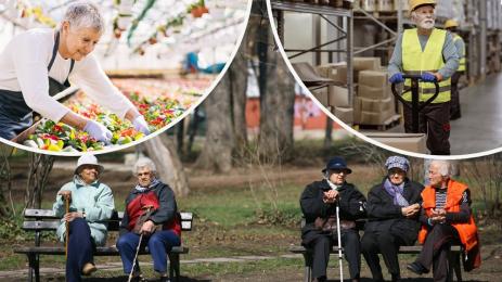 пенсионер работа