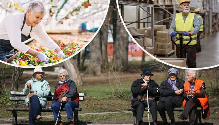 пенсионер работа - ЮРУШ: Все повече възрастни купуват стаж за пенсия