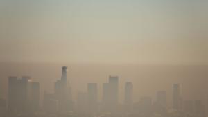 Почти цялото население на света диша замърсен въздух като само