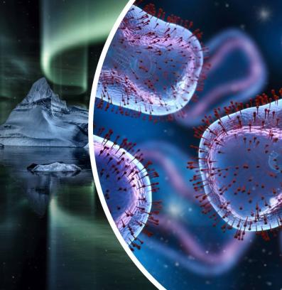 вируси ледници