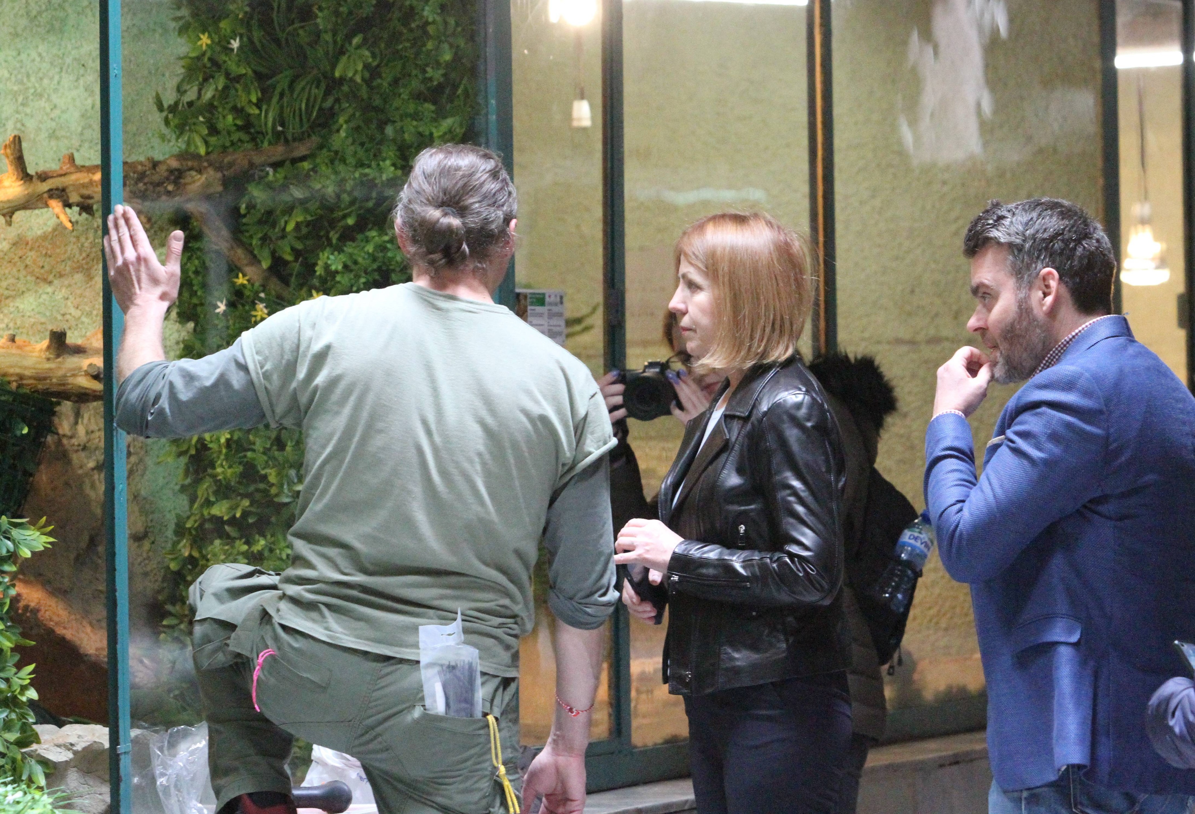 Йорданка Фандъкова зоологическа градина ягуари