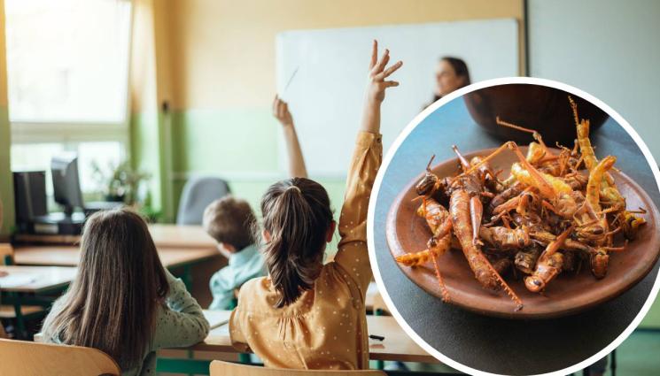 насекоми - В ИМЕТО НА ОКОЛНАТА СРЕДА: Училище кара деца да ядат насекоми