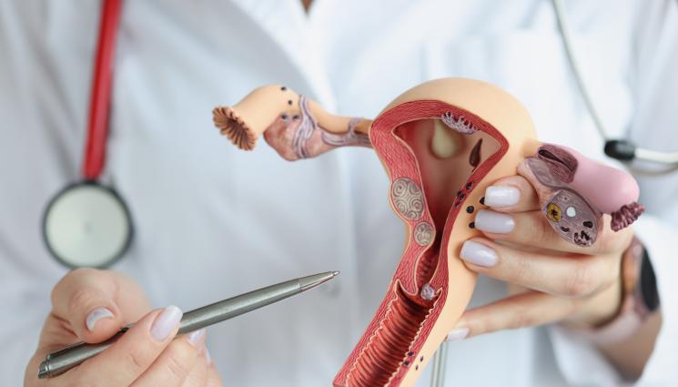 златно време - ЗЛАТНО ВРЕМЕ: Топ 7 на най-опасните  женски болести