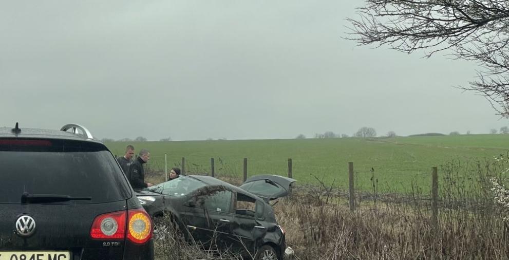  хемус дърво кола 